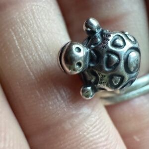 Pandora charm